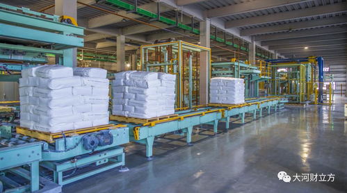 技術(shù)突破壁壘，銷量問鼎國內(nèi) 細(xì)分冠軍以國內(nèi)貿(mào)易代理重構(gòu)增長(zhǎng)新格局